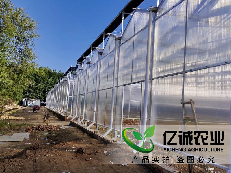 連棟智能溫室大棚廣東項目